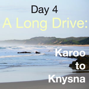 A Long Drive: Karoo to Knysna (Day 4)