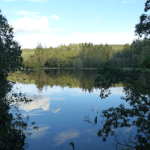 Lake, reflection, act anyway, latent lifestyle stuff