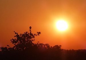 Kruger Park, Sunset, south africa, destination guide, latent lifestyle