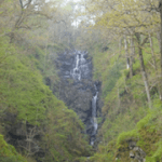 Waterfall in woods, stuff, latent lifestyle, act anyway