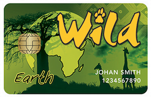 wild Card, South Africa, Kruger Park, Destination, guide, Latent Lifestyle