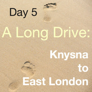 A Long Drive: Knysna to East London (Day 5)
