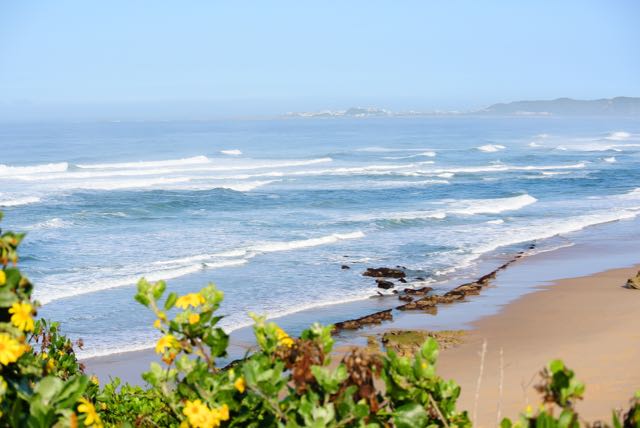 Brenton Beach and Flowers