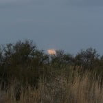 Latent lifestyle, karoo, national park, south africa, moon