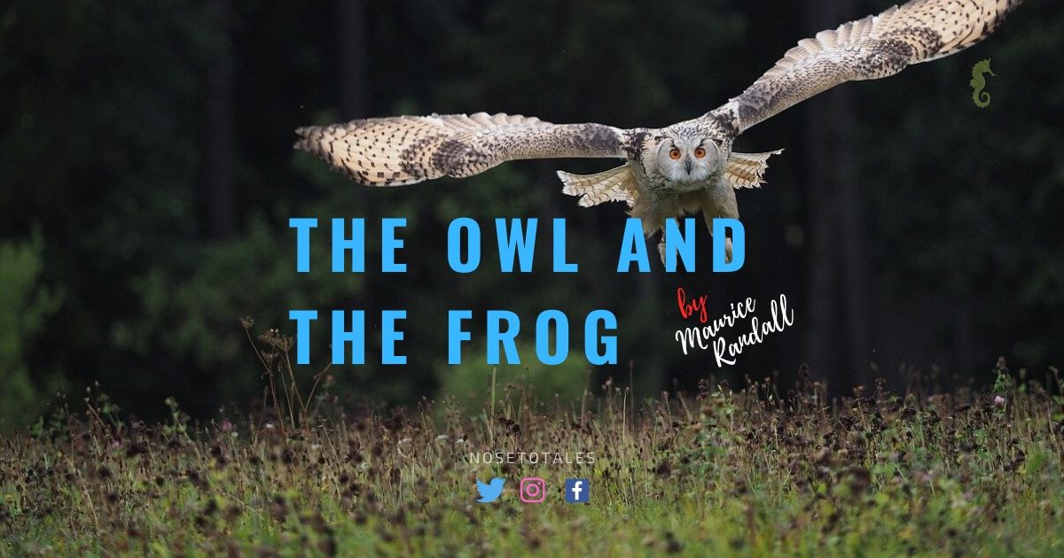 The Owl and the Frog, Maurice Randall, Fable, Rhyme