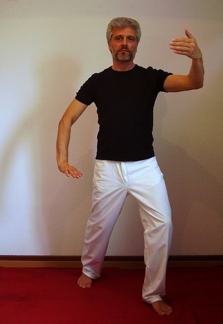 learn tai chi, beginners, pose, qi, mostly health