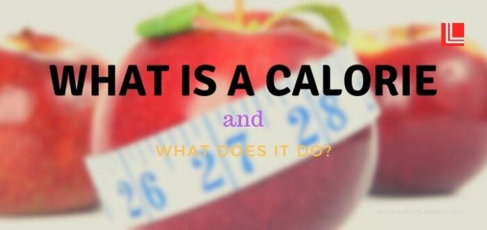 Calorie, how do we use them, definition, average person