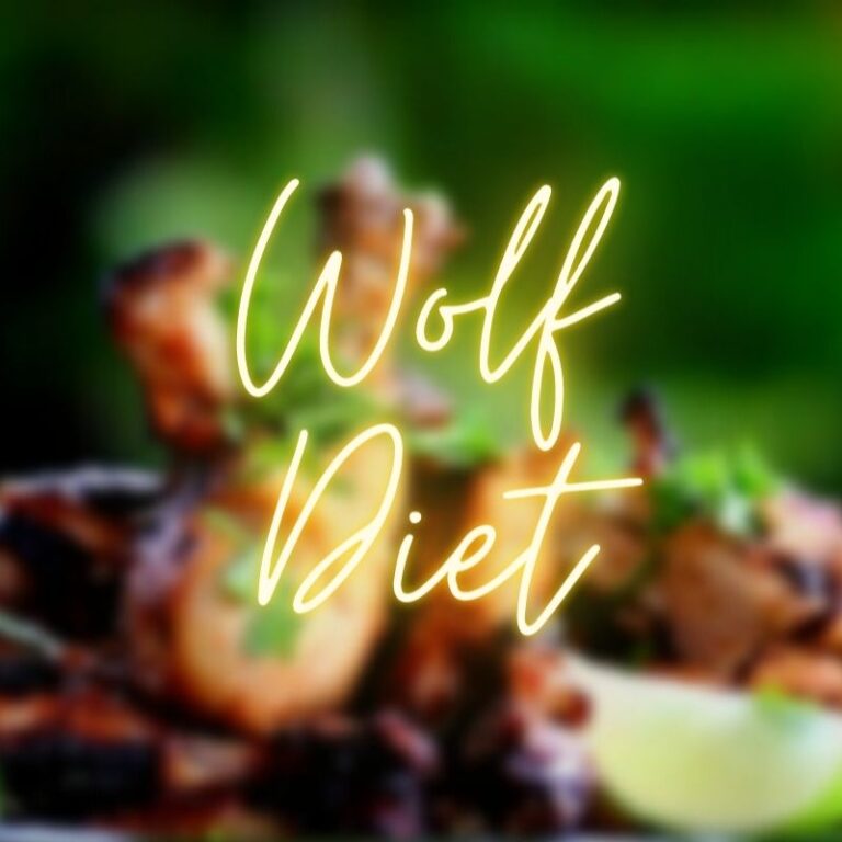 One Meal a Day Diet (Wolf Diet)