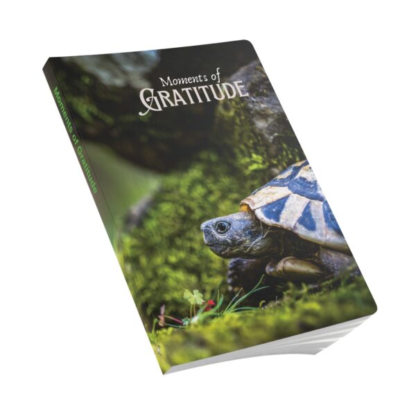 Gratitude Jotter – Softcover Journal with Forest Tortoise on the Move Cover - Image 7