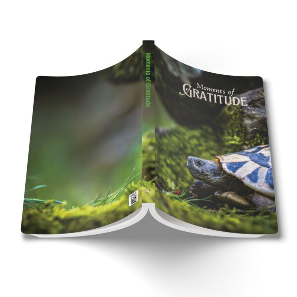 Gratitude Jotter – Softcover Journal with Forest Tortoise on the Move Cover - Image 6