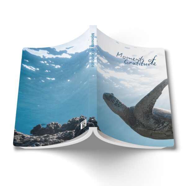 Gratitude Jotter – Softcover Journal with Turtle Under Tranquil Waters Cover - Image 6