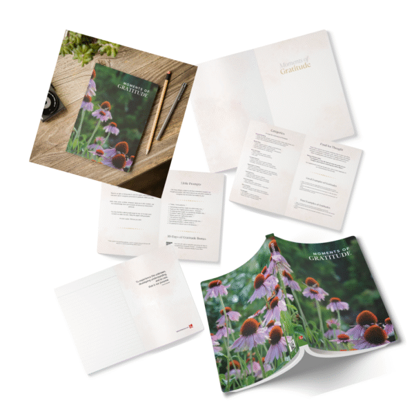 Gratitude Jotter – Softcover Journal with Echinacea Flowers and Butterfly Cover - Image 13