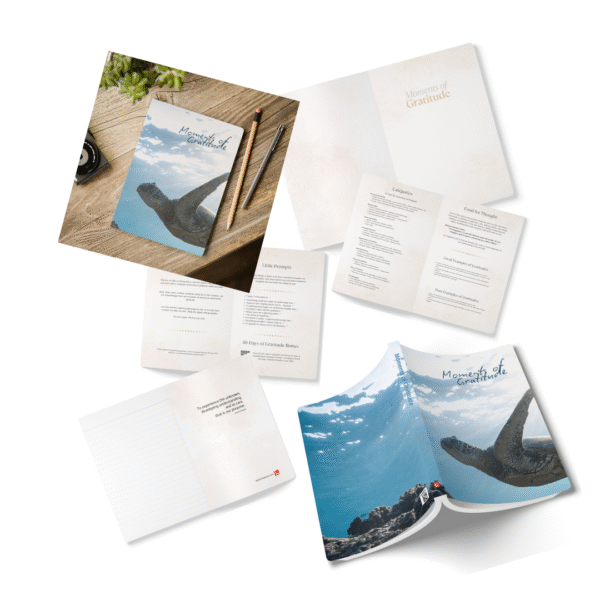 Gratitude Jotter – Softcover Journal with Turtle Under Tranquil Waters Cover - Image 13