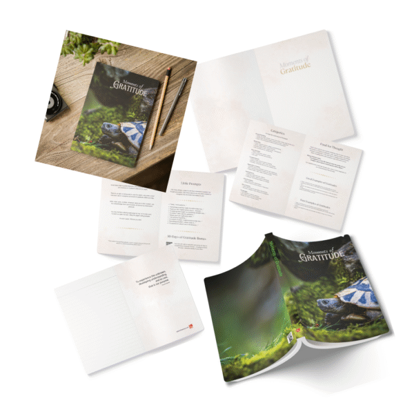 Gratitude Jotter – Softcover Journal with Forest Tortoise on the Move Cover - Image 13