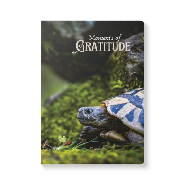Gratitude Jotter – Softcover Journal with Forest Tortoise on the Move Cover - Image 2
