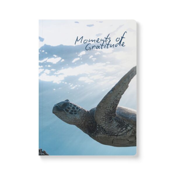 Gratitude Jotter – Softcover Journal with Turtle Under Tranquil Waters Cover - Image 2