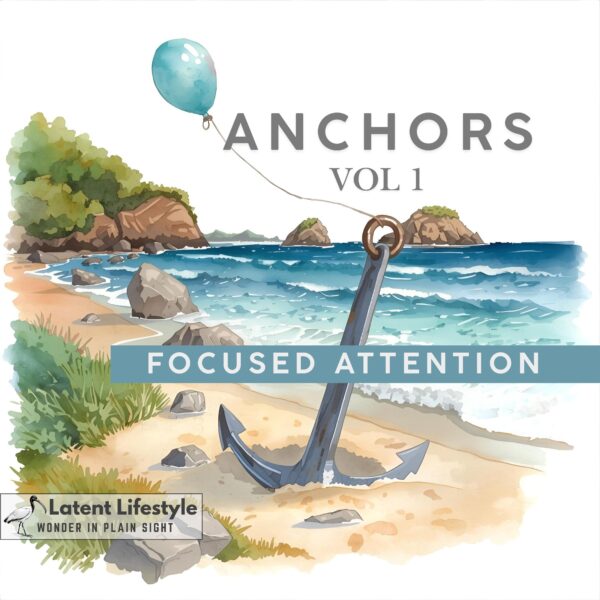 Anchors Vol 1 - Focused Attention