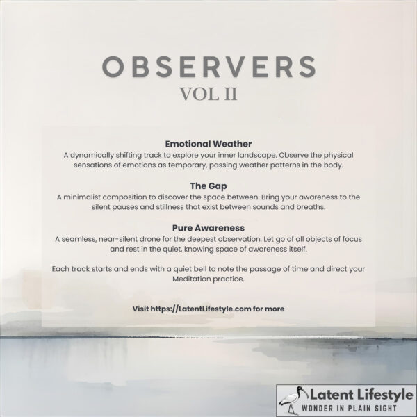 Observers Vol 2 - Meditation - Image 2